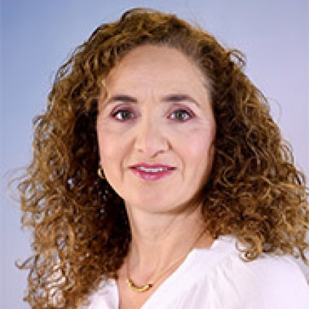 גלית כהן
