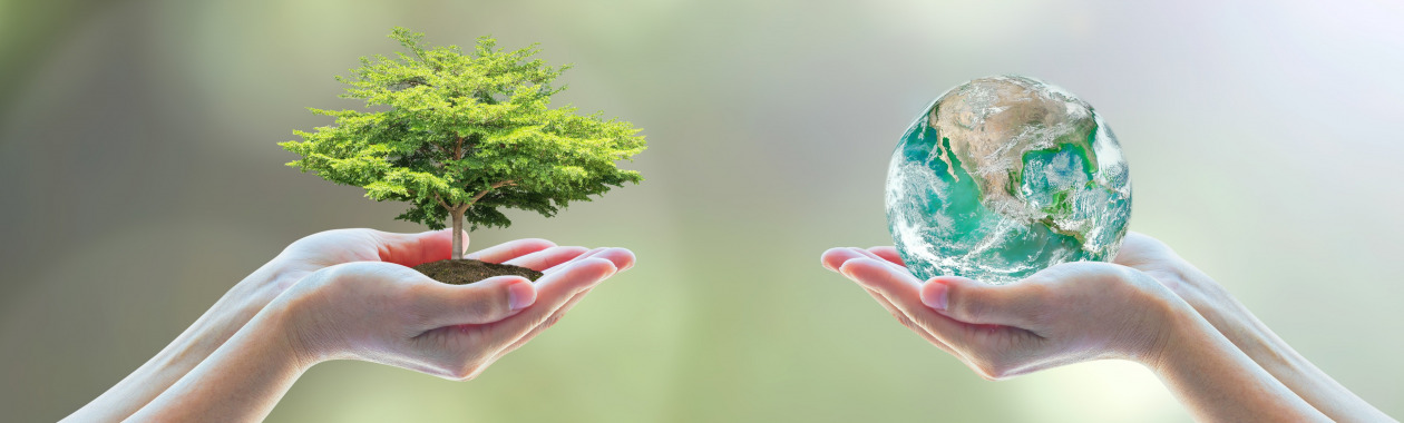 תכנית בניהול ומשאבי טבע