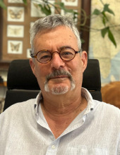 עדי
