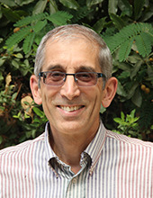 דניאל פלזנשטיין